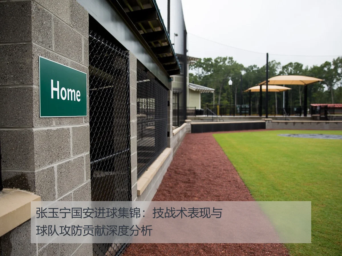 张玉宁国安进球集锦:技战术表现与球队攻防贡献深度分析